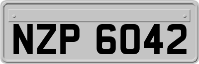 NZP6042
