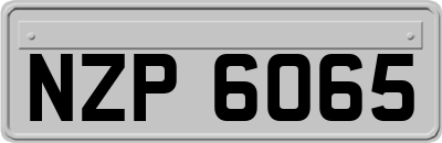 NZP6065