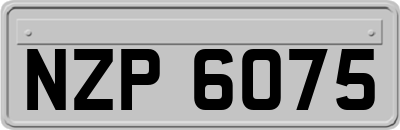 NZP6075