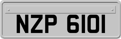 NZP6101