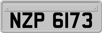 NZP6173