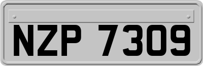 NZP7309