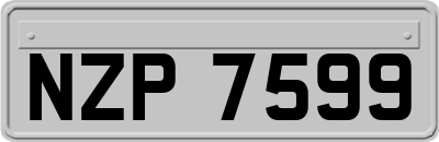 NZP7599