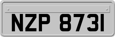 NZP8731