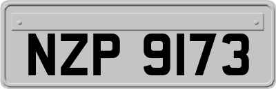 NZP9173