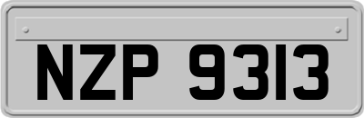 NZP9313