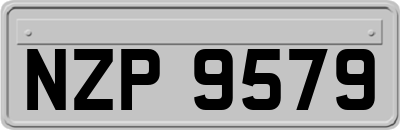 NZP9579