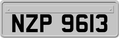 NZP9613