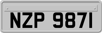 NZP9871