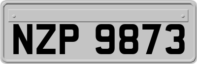 NZP9873