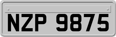 NZP9875