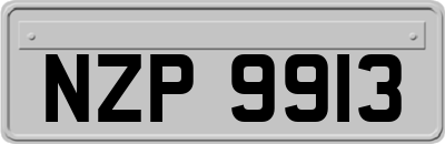 NZP9913