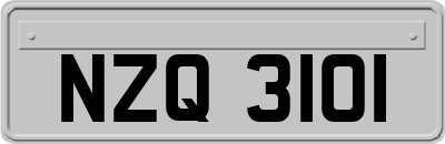 NZQ3101