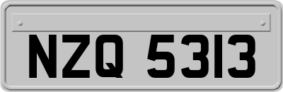 NZQ5313