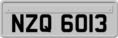 NZQ6013