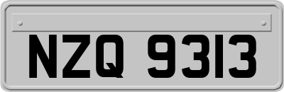 NZQ9313