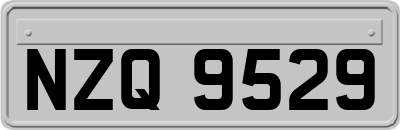 NZQ9529