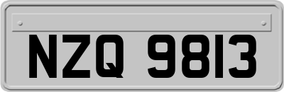 NZQ9813