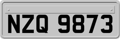 NZQ9873