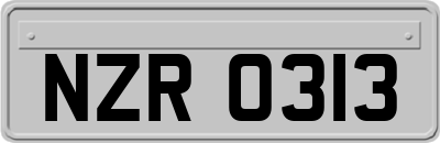 NZR0313