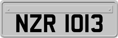 NZR1013