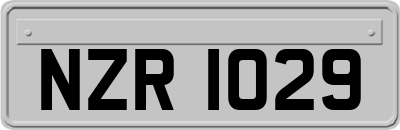 NZR1029