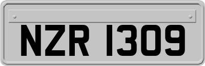 NZR1309