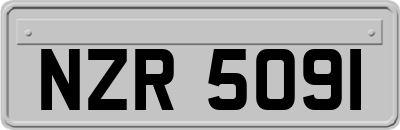 NZR5091