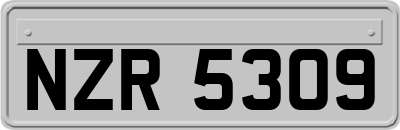 NZR5309