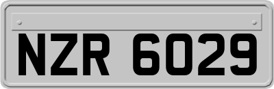 NZR6029