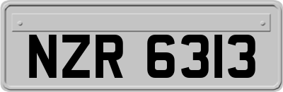 NZR6313
