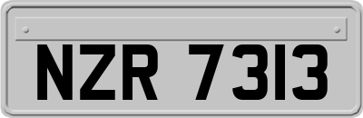 NZR7313