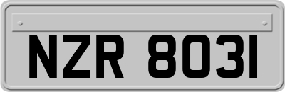 NZR8031