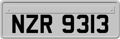 NZR9313