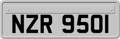 NZR9501