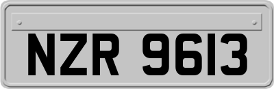 NZR9613