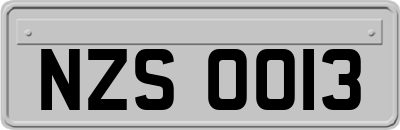 NZS0013