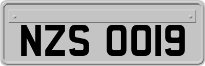 NZS0019