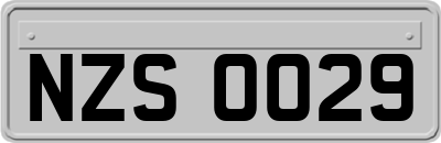 NZS0029