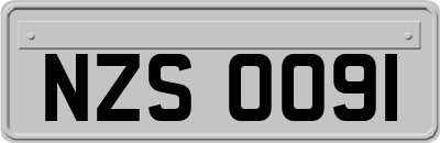 NZS0091