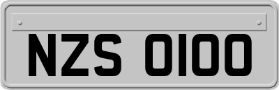 NZS0100