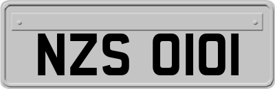 NZS0101