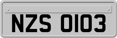 NZS0103