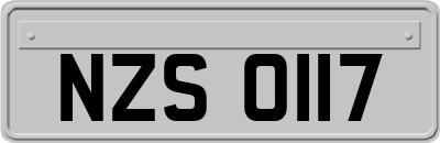 NZS0117