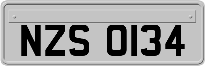 NZS0134