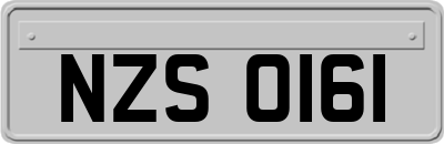 NZS0161