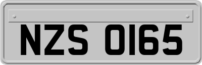 NZS0165