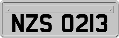 NZS0213
