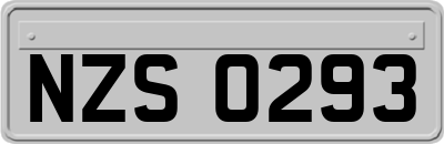 NZS0293