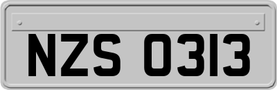 NZS0313